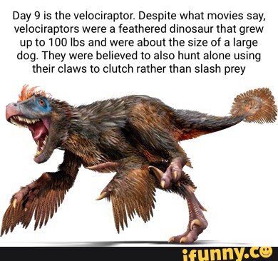 Day 9 is the velociraptor. Despite what movies say, velociraptors were ...