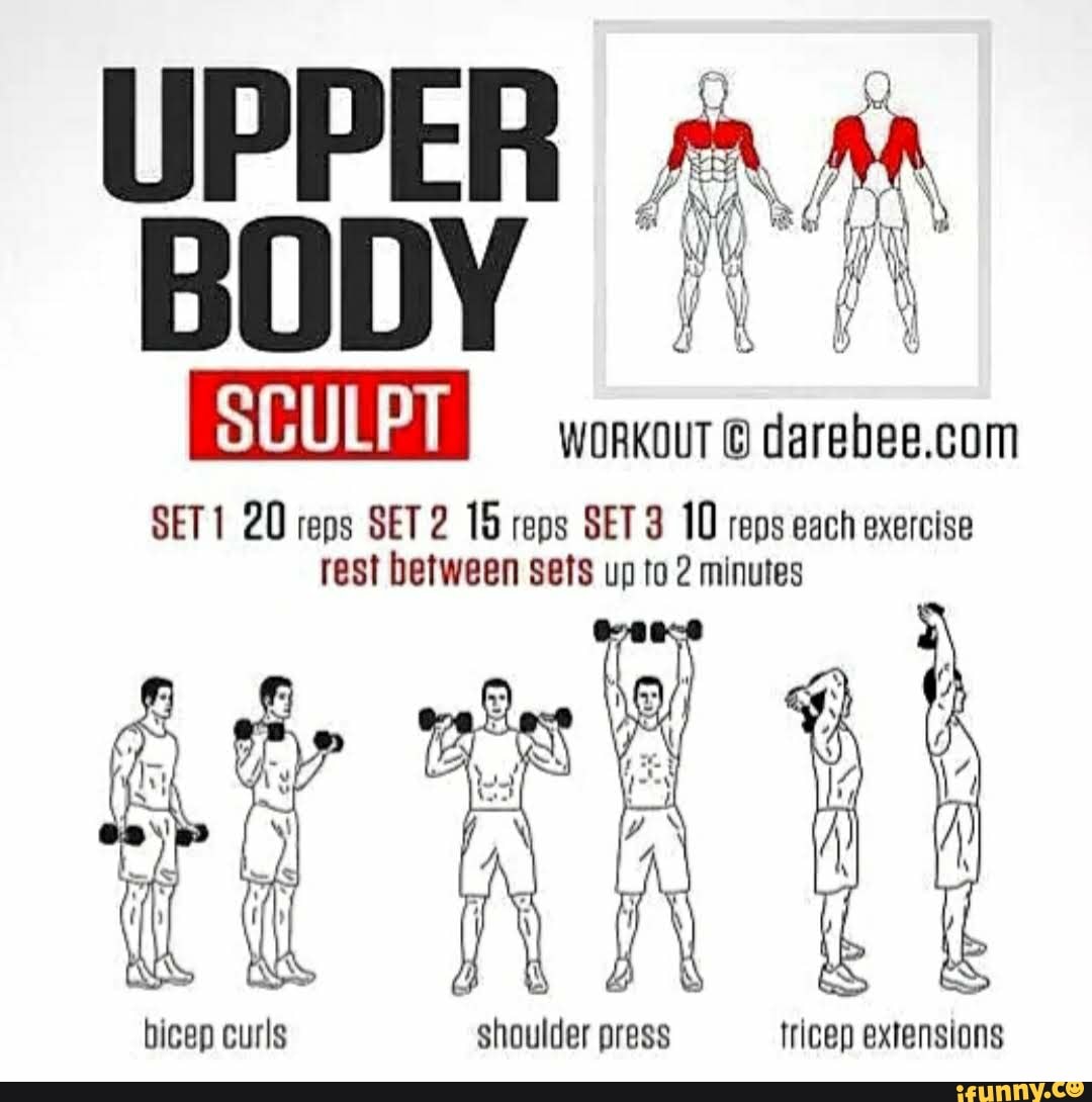 SCULPT WORKOUT © darebee.com SET1 20 reps SET 2 15 reps SET 3 10 reps ...