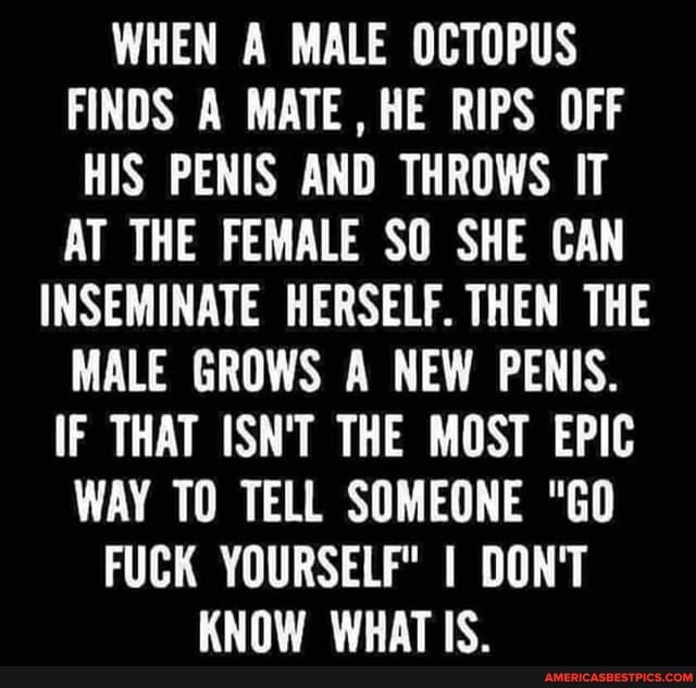 WHEN A MALE OCTOPUS FINDS A MATE, HE RIPS OFF HIS PENIS AND THROWS IT AT THE FEMALE SO SHE CAN
INSEMINATE HERSELF. THEN THE MALE GROWS A NEW PENIS.
IF THAT ISN'T THE MOST EPIC WAY TO TELL SOMEONE "GO
FUCK YOURSELF" I DON'T
KNOW WHAT IS.