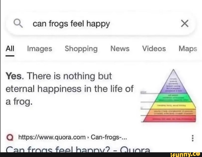 Can frogs feel happy All Images Shopping News Videos Maps Yes 