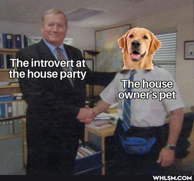 The introvert at
the house party
The house owner's pet