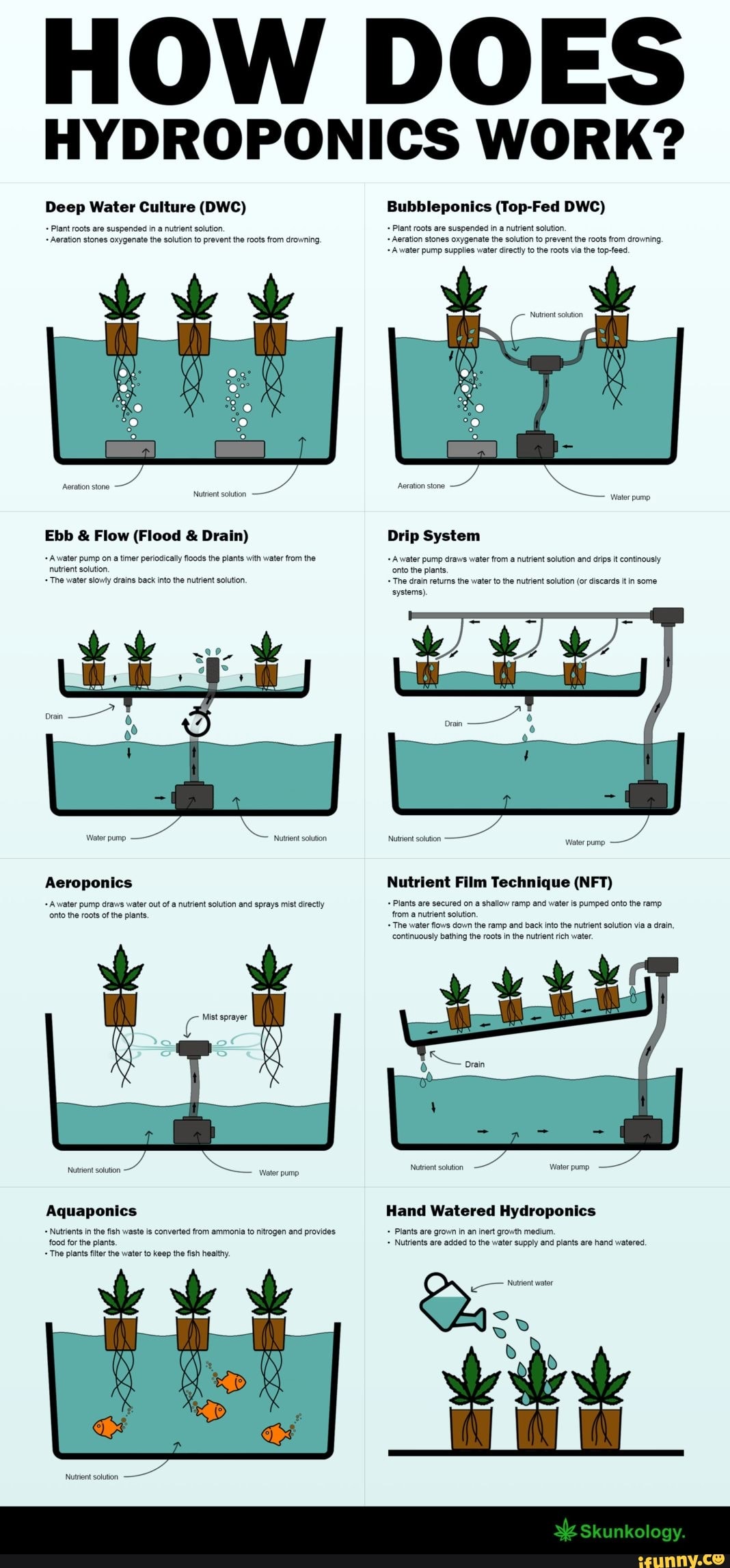 How Does Surface Agitation Oxygenate Water