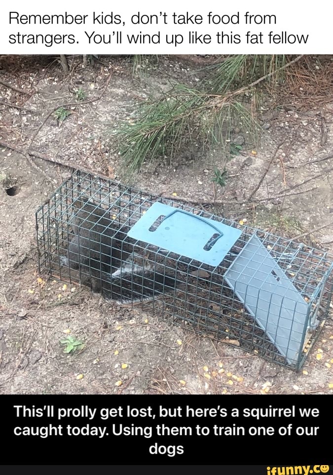 Remember kids, don't take food from strangers. You'll wind up like this fat fellow
This'll prolly get lost, but here's a squirrel we caught today. Using them to train one of our
dogs - This’ll prolly get lost, but here’s a squirrel we caught today. Using them to train one of our dogs