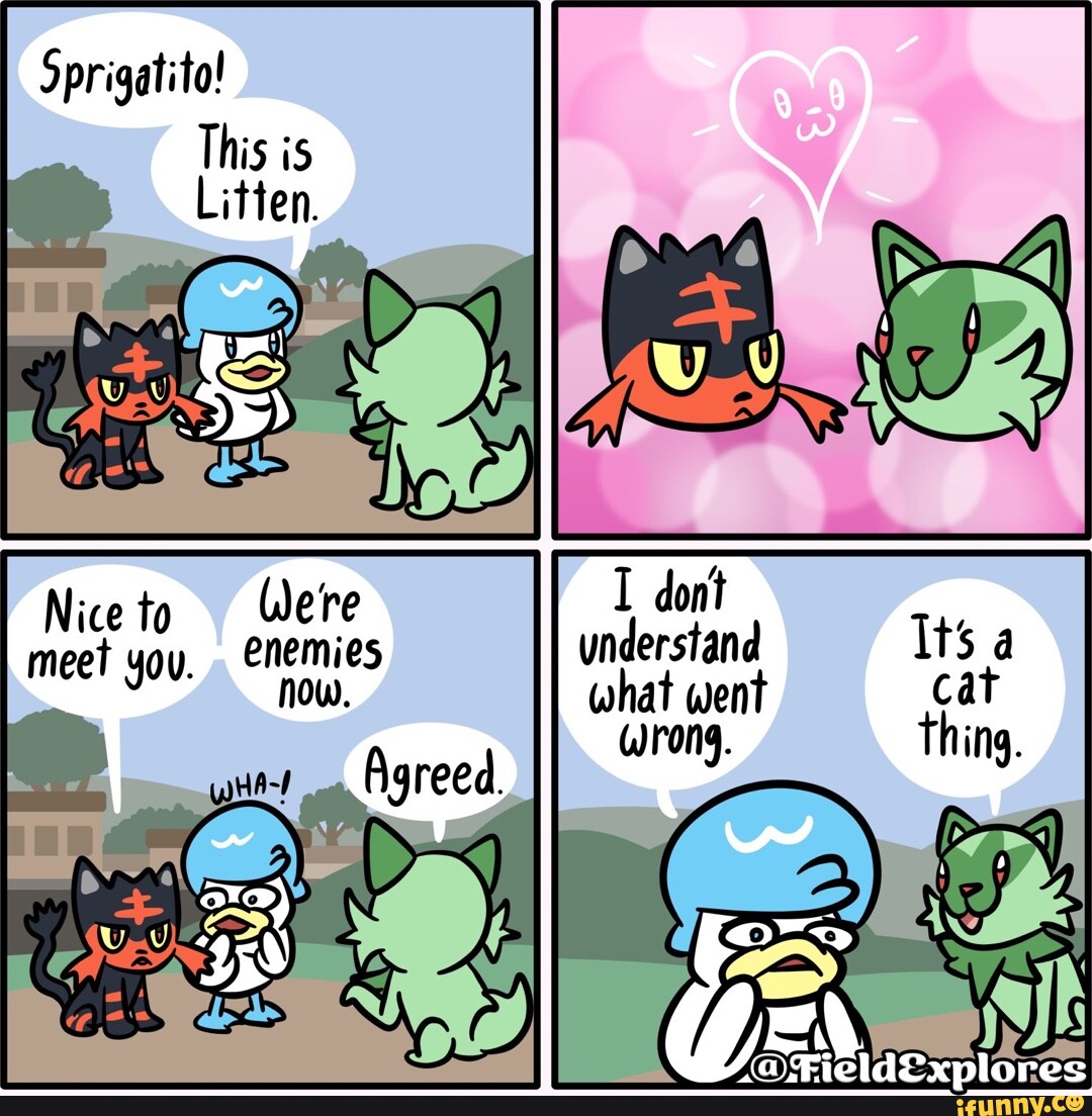 Litten Memes. Best Collection Of Funny Litten Pictures On Ifunny