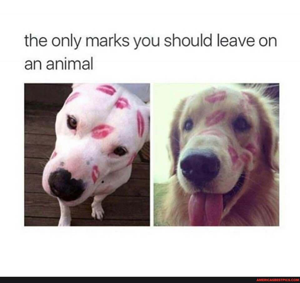 the only marks you should leave on an animal