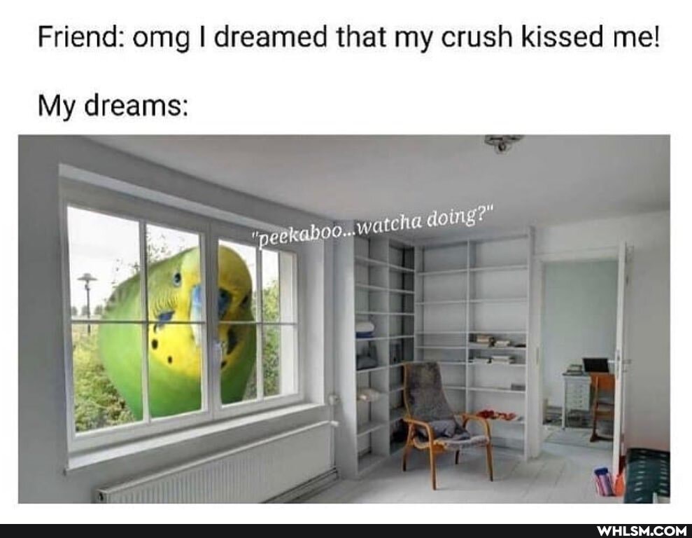 Friend: omg I dreamed that my crush kissed me!
fy
My dreams:
doing? rr Y