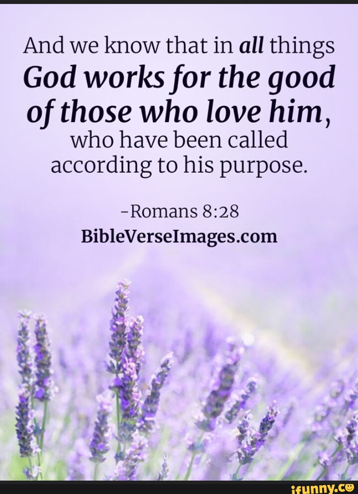 And we know that in all things God works for the good of those who love ...