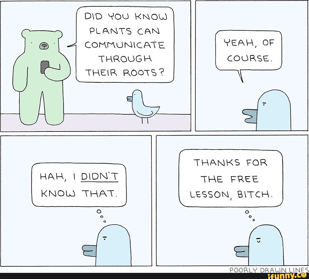 DID YOU KNOW PLANTS CAN COMMUNICATE THROUGH THEIR ROOTS? YEAH, OF