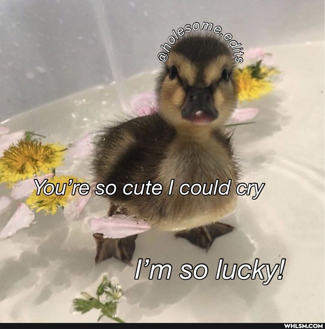 sOMe
You're so cute I could cry
so lucky!