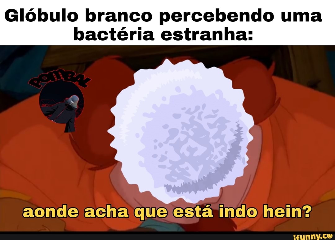 Glóbulo branco percebendo uma bactéria estranha:
aonde acha que está indo hein?