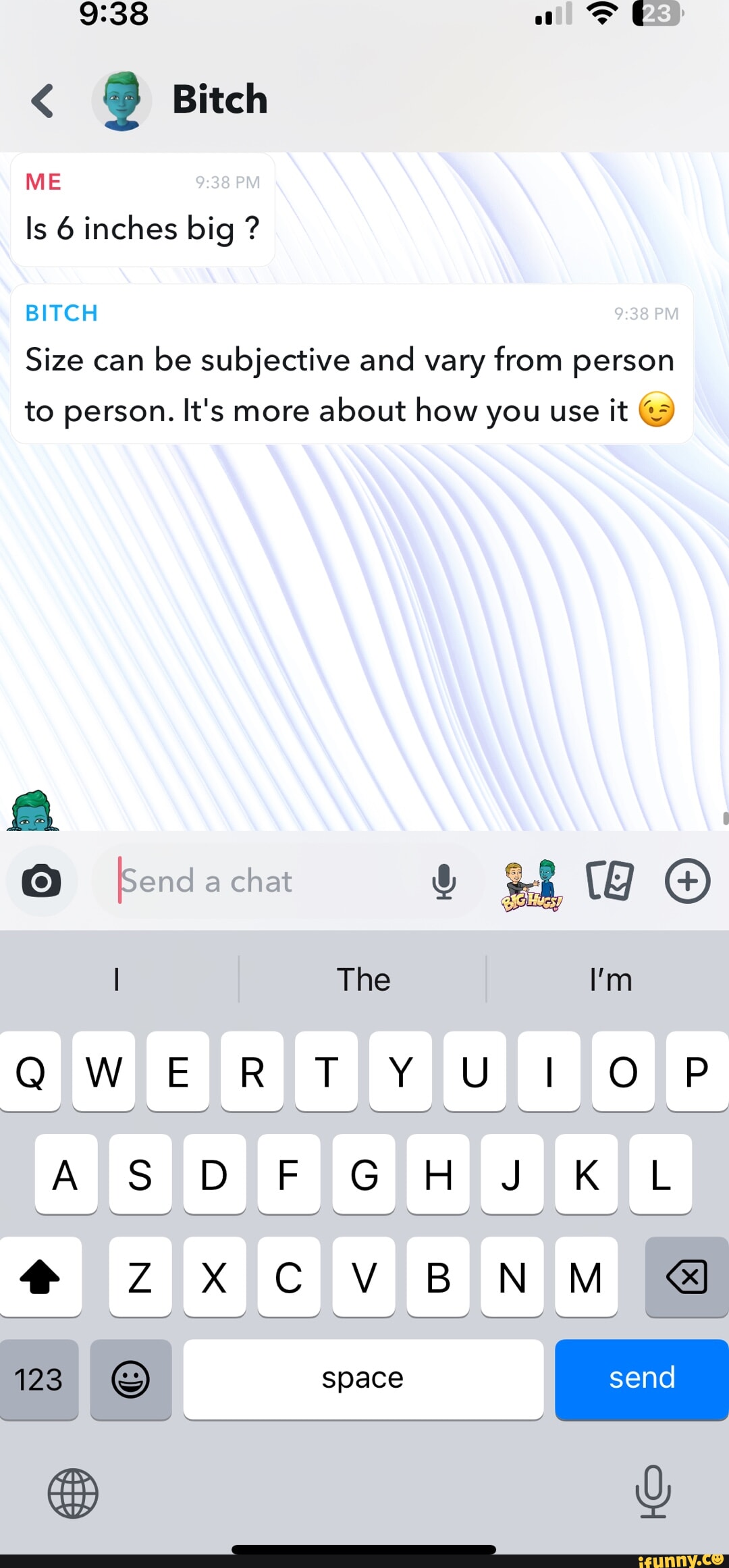 Bitch ME Is 6 inches big ? BITCH Size can be subjective and vary