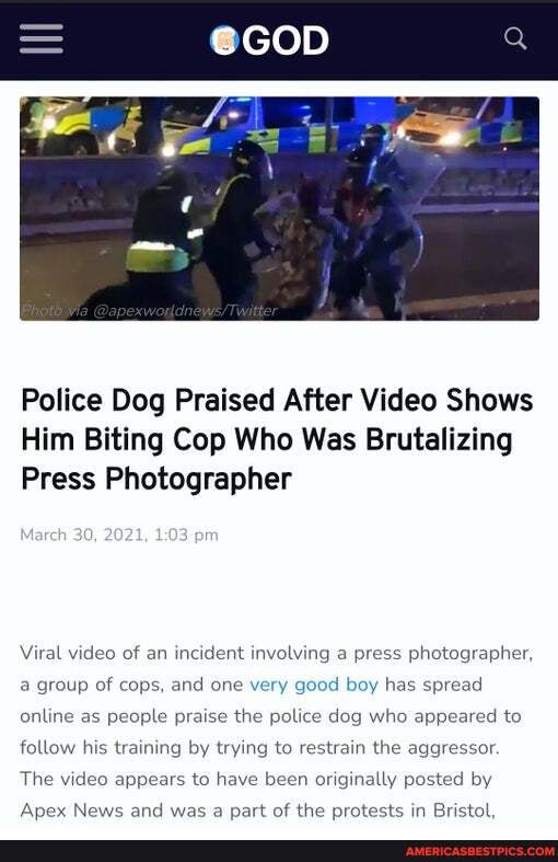 Police Dog Praised After Video Shows Him Biting Cop Who Was Brutalizing ...