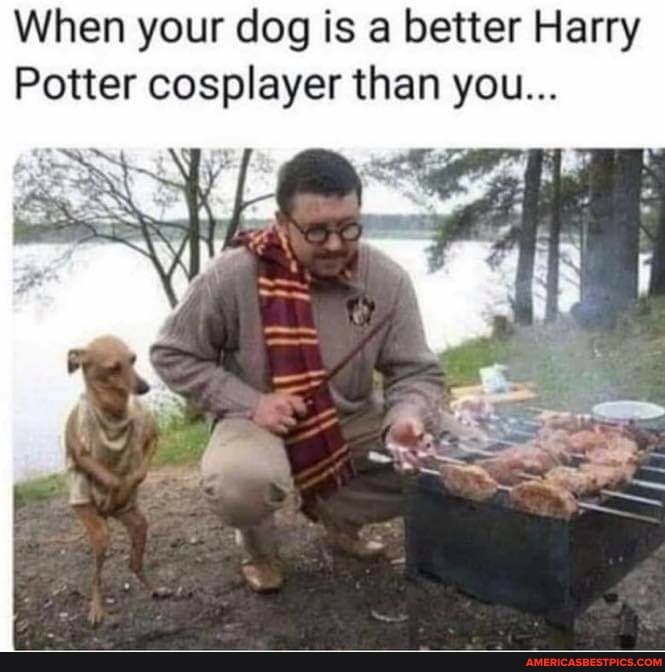When your dog is a better Harry
Potter cosplayer than you...