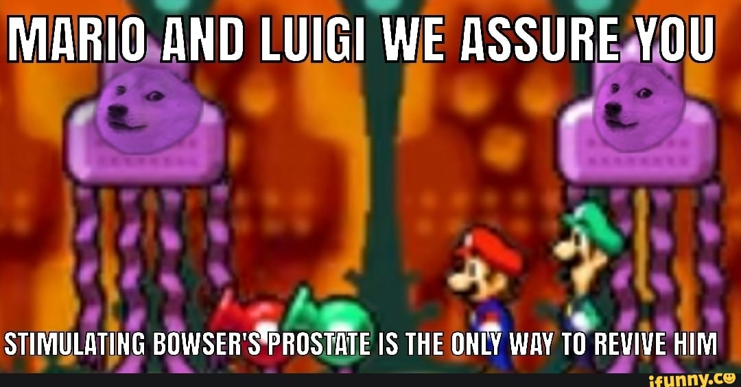 MARIO AND LUIGI WE ASSURE YOU STIMULATING BOWSER'S'PROSTATE IS THE ONLY ...