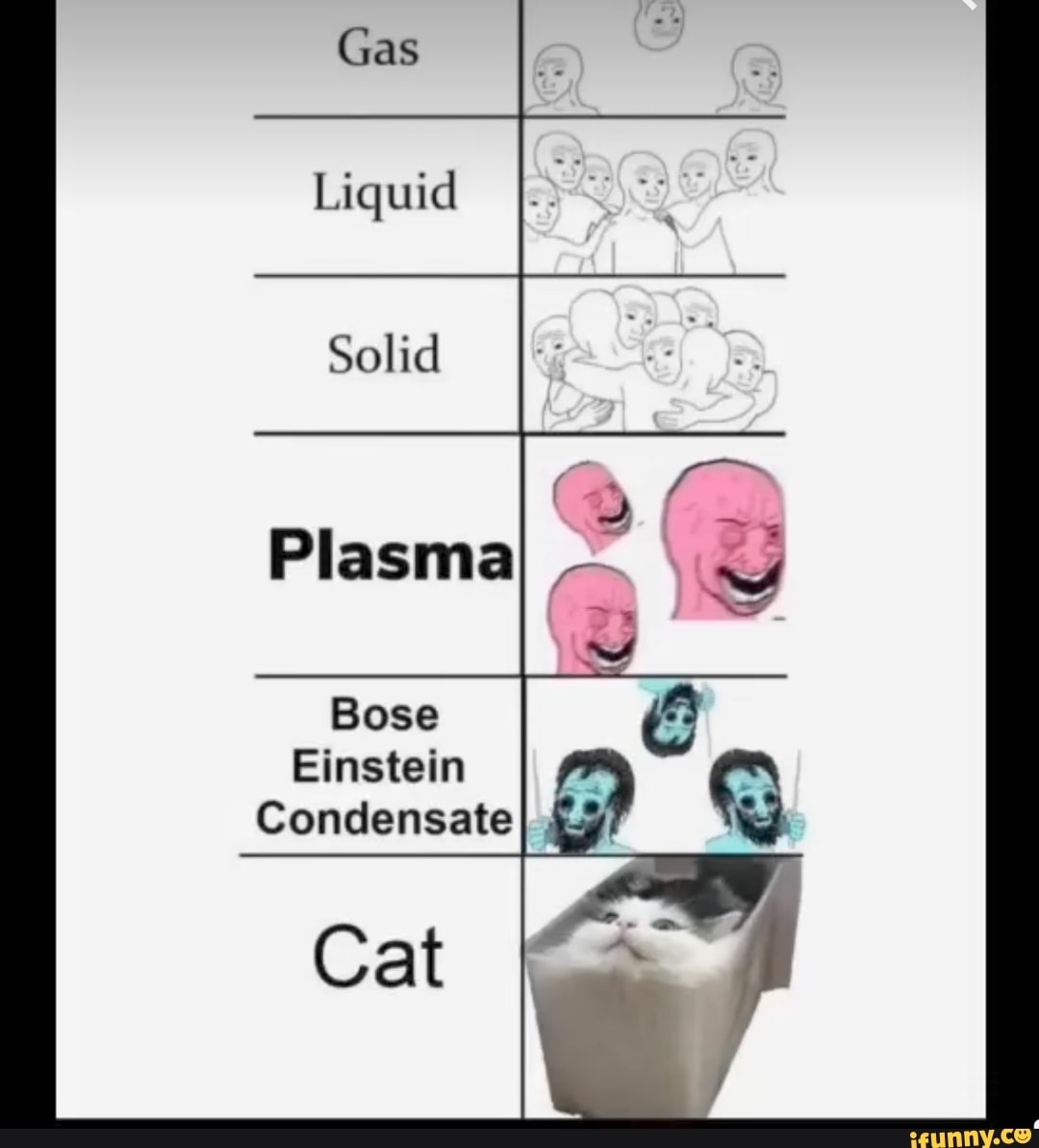 Gas Liquid Solid Plasma ox Bose Einstein Condensate Cat iFunny