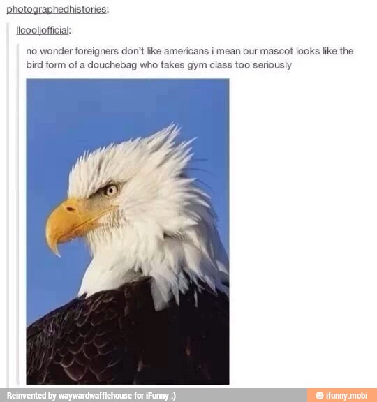 no wonder foreigners don't like american ¡ mean our mascot looks like the
bird form of a douchebag who takes gym class too seriously