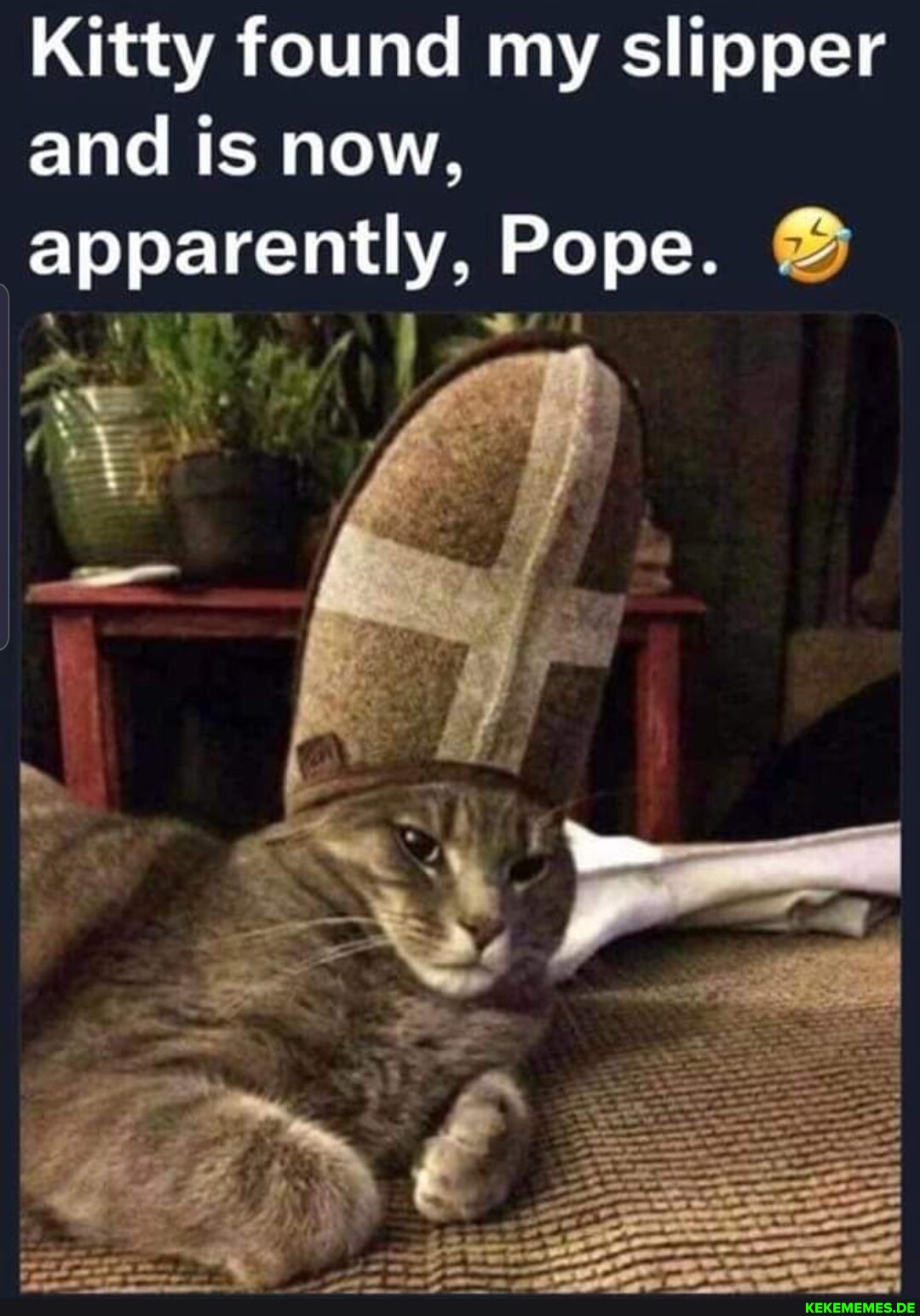 Kitty found my slipper and is now, apparently, Pope.