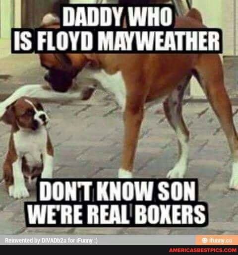 DADDY WHO IS FLOYD MAY WEATHER
DON'T KNGW SON WE'RE BEAL BOXERS