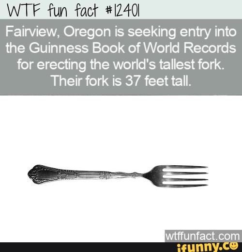Fun Fairview, Oregon is seeking entry into the Guinness Book of World Records for erecting the