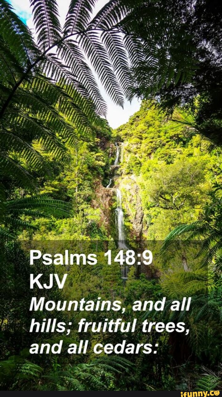 Psalms KJV Mountains, and all hills; fruitful trees, and all cedars ed