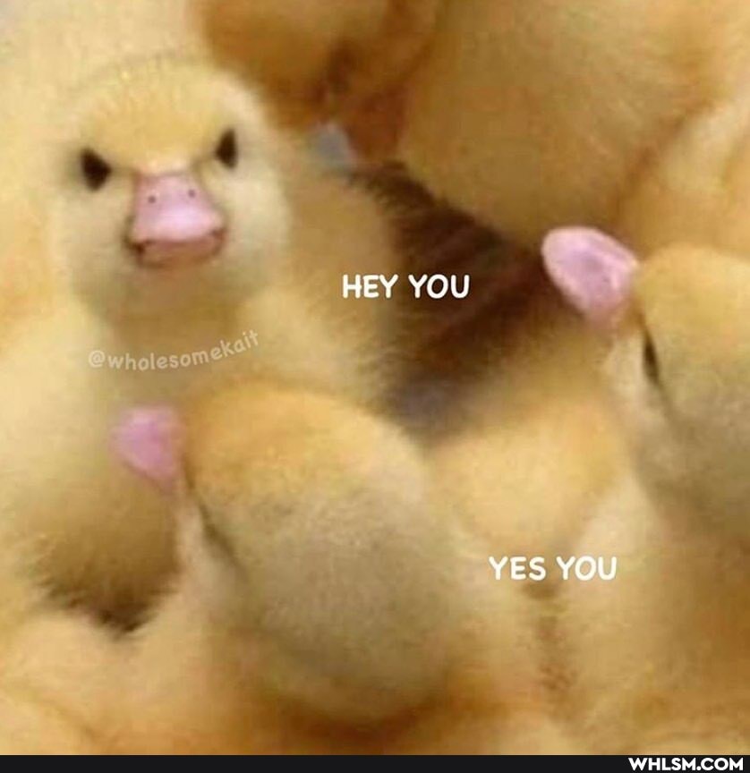 HEY YOU
YES YOU