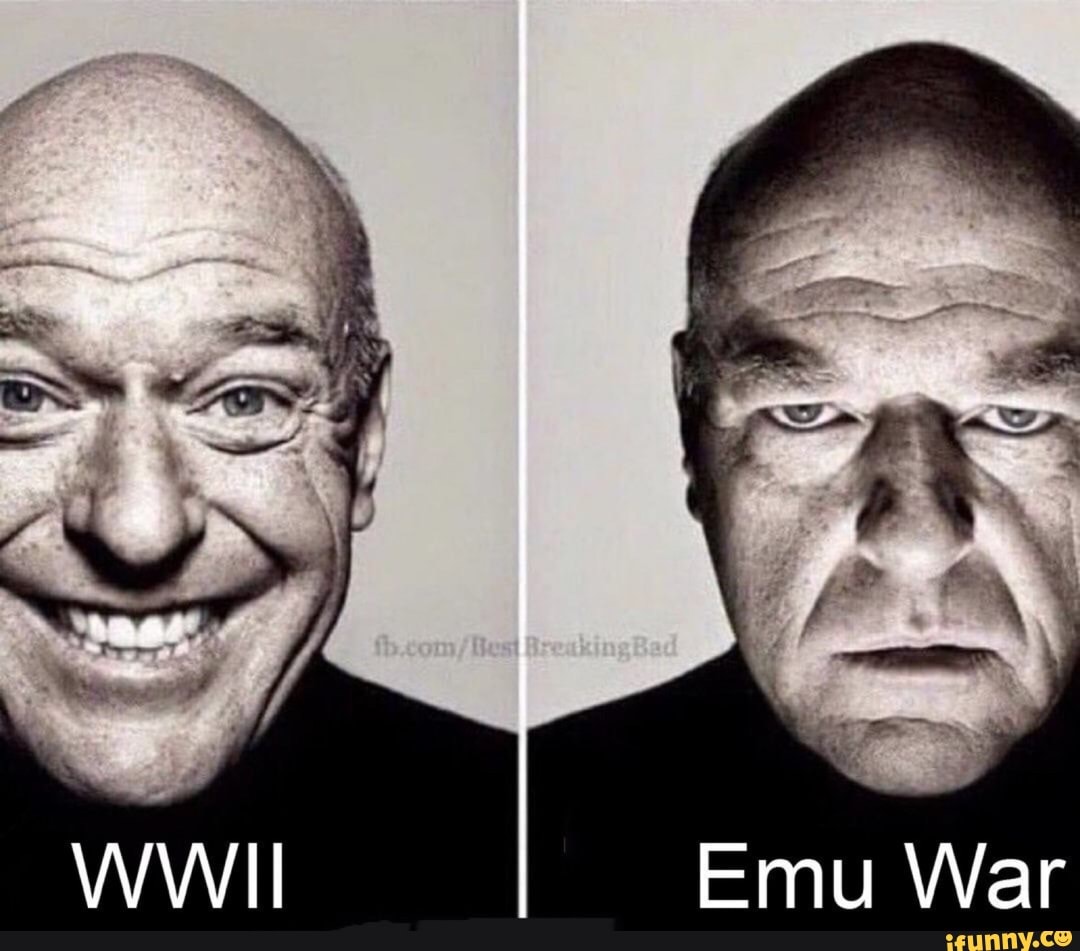 WWII Emu War