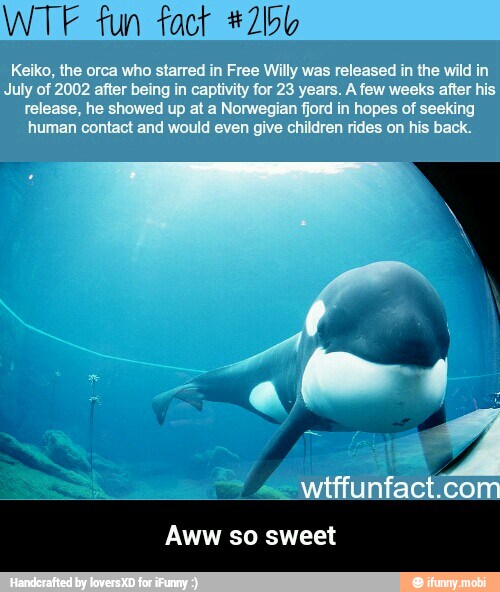 WTF fun fact *2bb
Aww so sweet - Aww so sweet