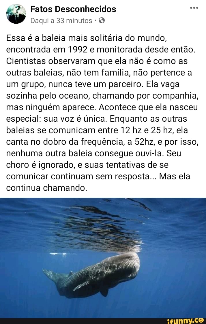 2, Fatos Desconhecidos see
Daqui a 33 minutos Essa é a baleia mais solitária do mundo,
encontrada em 1992 e monitorada desde então.
Cientistas observaram que ela não é como as
outras baleias, não tem família, não pertence a
um grupo, nunca teve um parceiro. Ela vaga
sozinha pelo oceano, chamando por companhia,
mas ninguém aparece. Acontece que ela nasceu
especial: sua voz é única. Enquanto as outras
baleias se comunicam entre 12 hz e 25 hz, ela
canta no dobro da frequência, a 52hz, e por isso,
nenhuma outra baleia consegue ouvi-la. Seu
choro é ignorado, e suas tentativas de se
comunicar continuam sem resposta... Mas ela
continua chamando.