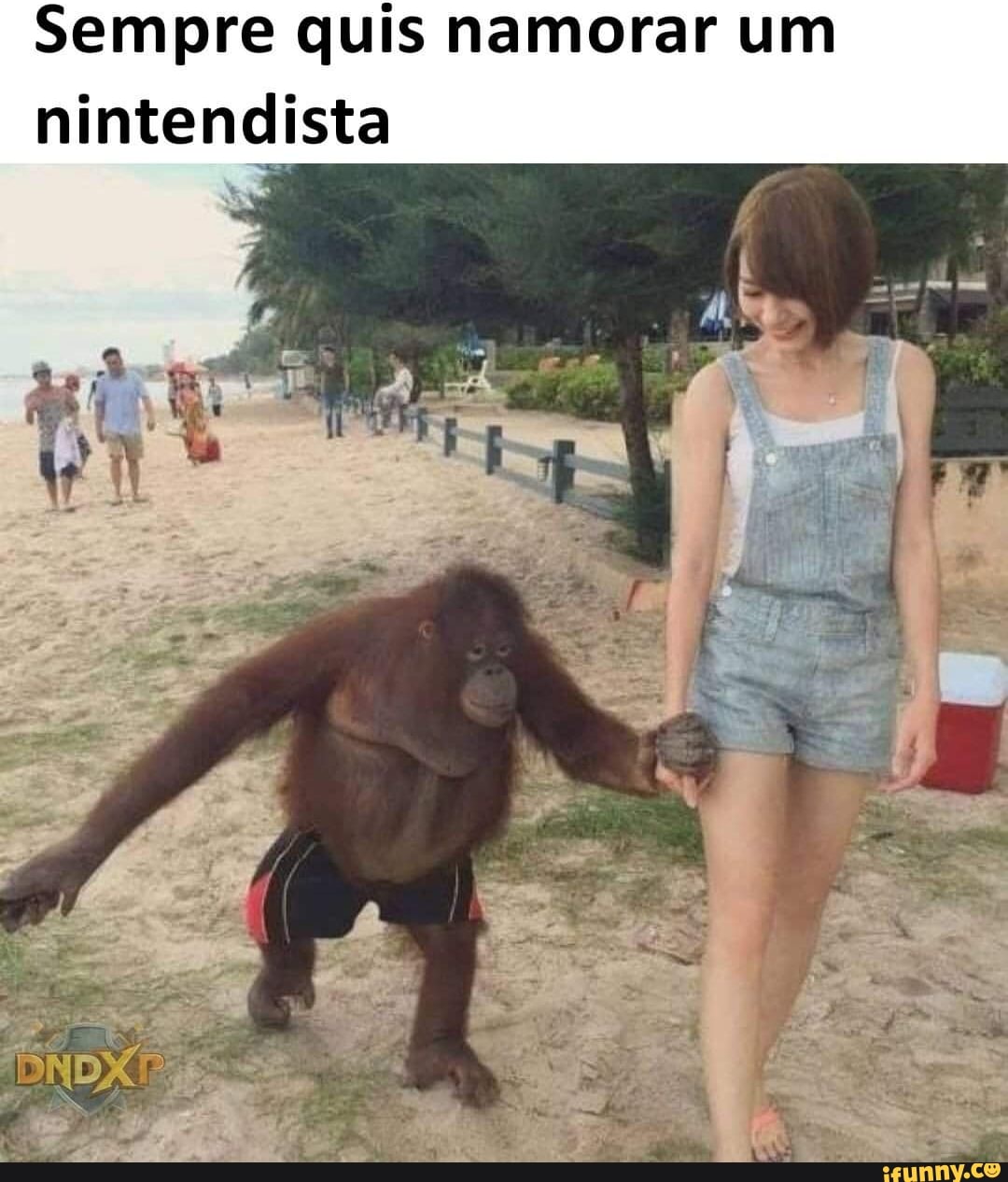 Sempre quis namorar um
nintendista
Al