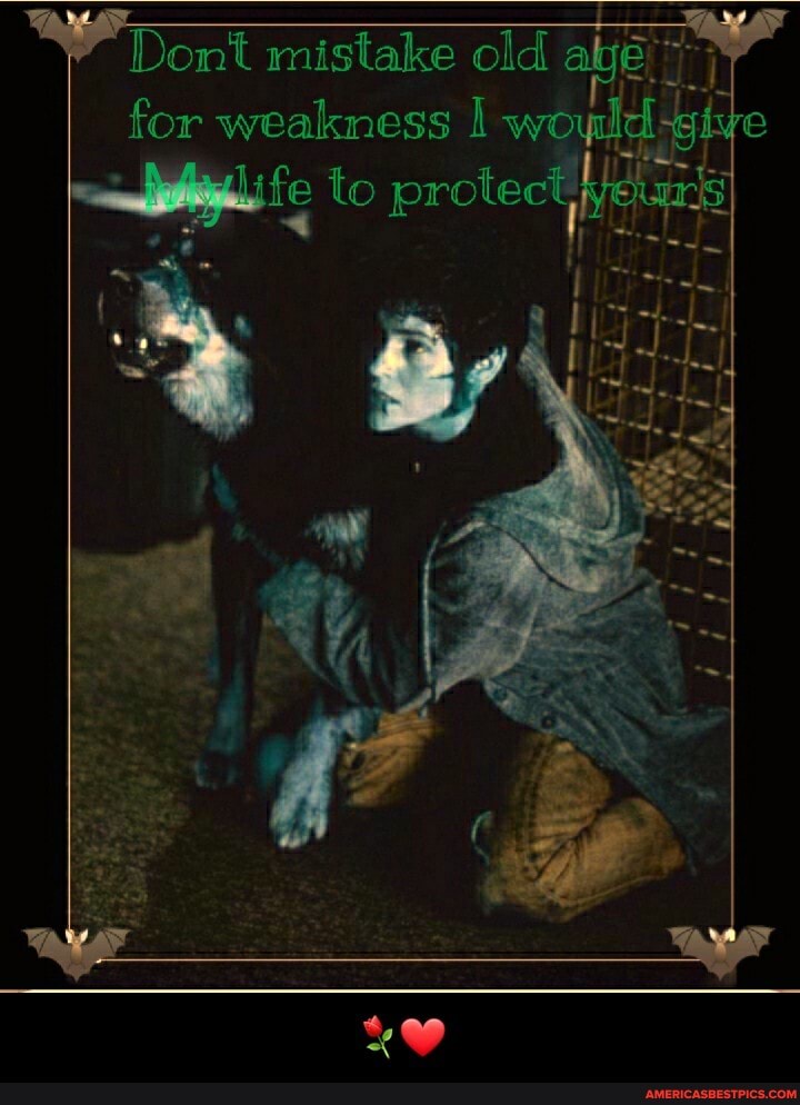 mistake old for weakness we to protect
al
by - ⚘❤
