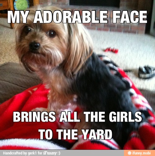 BRINGS ALL THE GIRLS:
TO THE YARD.