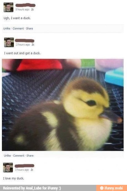 Ugh, Iwant a duc