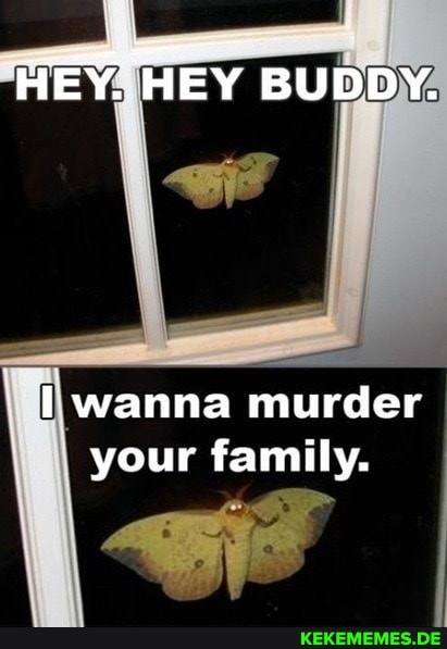 HEY. HEY BUDDY.
wanna murder your family.