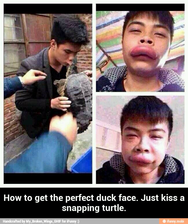 How to get the perfect duck face. Just kiss a
snapping turtle. - How to get the perfect duck face. Just kiss a snapping turtle.