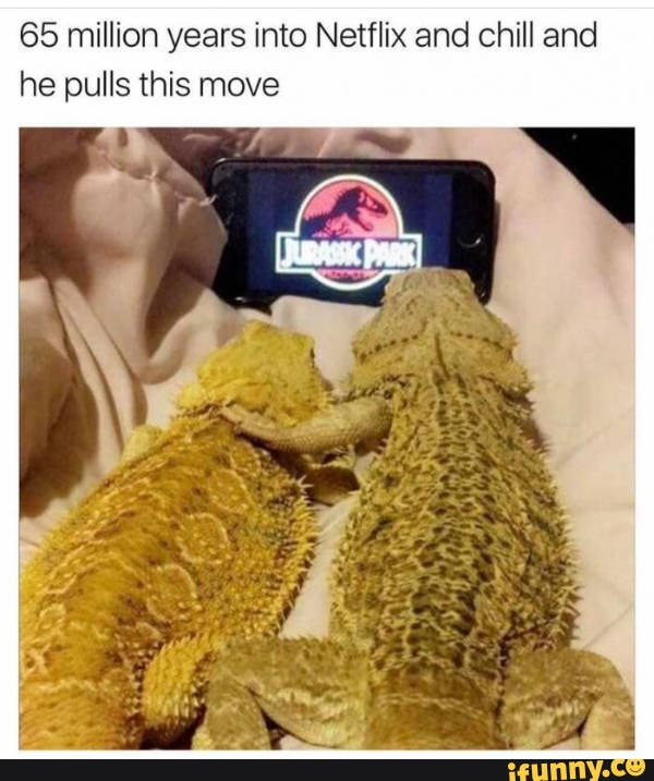 netflix and chill porn