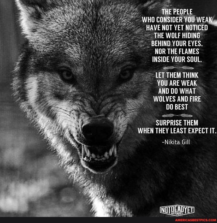 THE PEOPLE WHO CONSIDER YOU WEAK HAVE NOT YET NOTICED THE WOLF HIDING BEHIND YOUR EYES.
NOR THE FLAMES INSIDE YOUR SOUL.
LET THEM THINK YOU ARE WEAK AND DO WHAT WOLVES AND FIRE
00 BEST
SURPRISE THEM WHEN THEY LEAST EXPECT IT.
-Nikita Gill