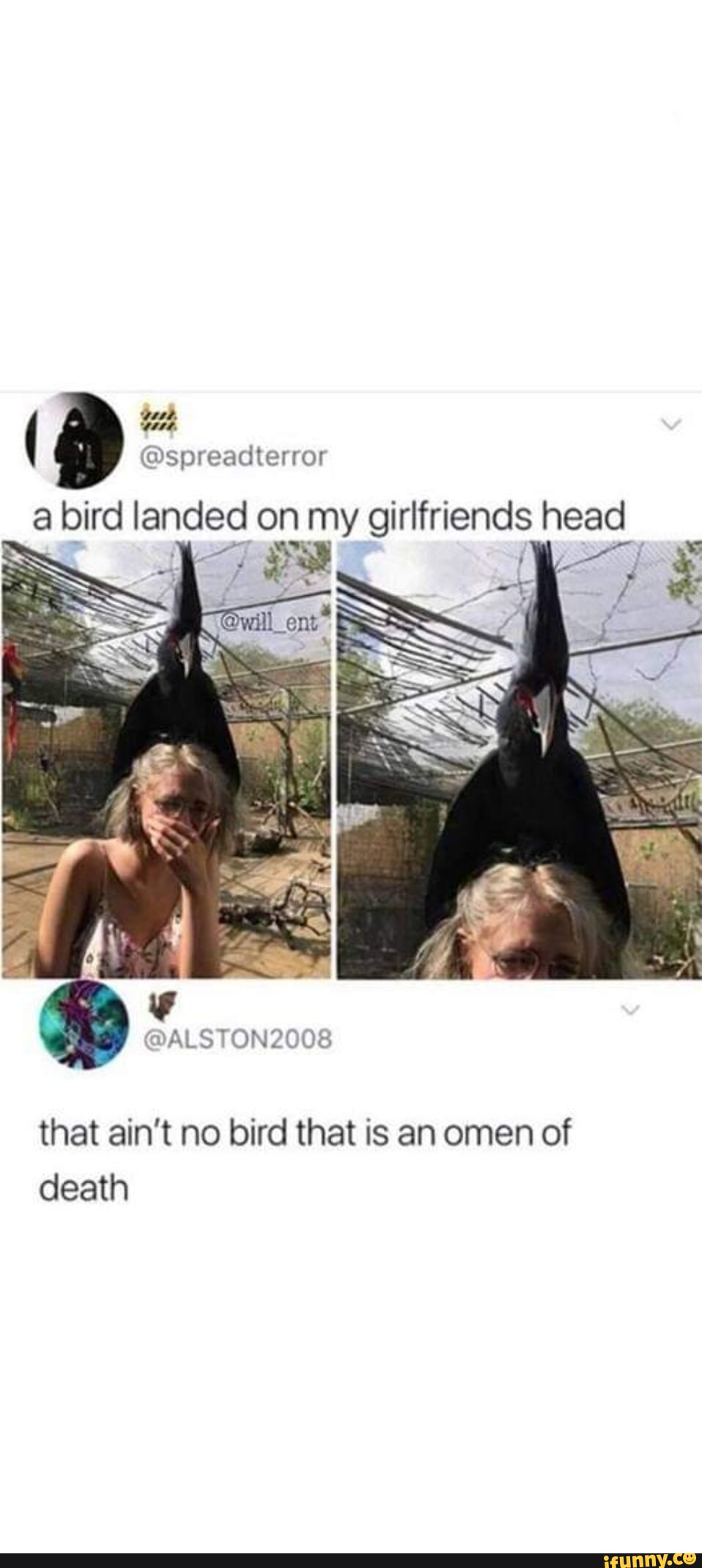 tonls-memes-best-collection-of-funny-tonls-pictures-on-ifunny