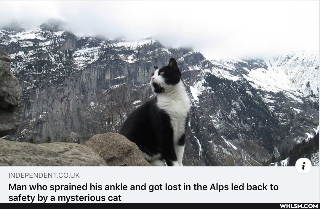 INDEPENDENT.CO.UK
Man who sprained his ankle and got lost in the Alps led back to