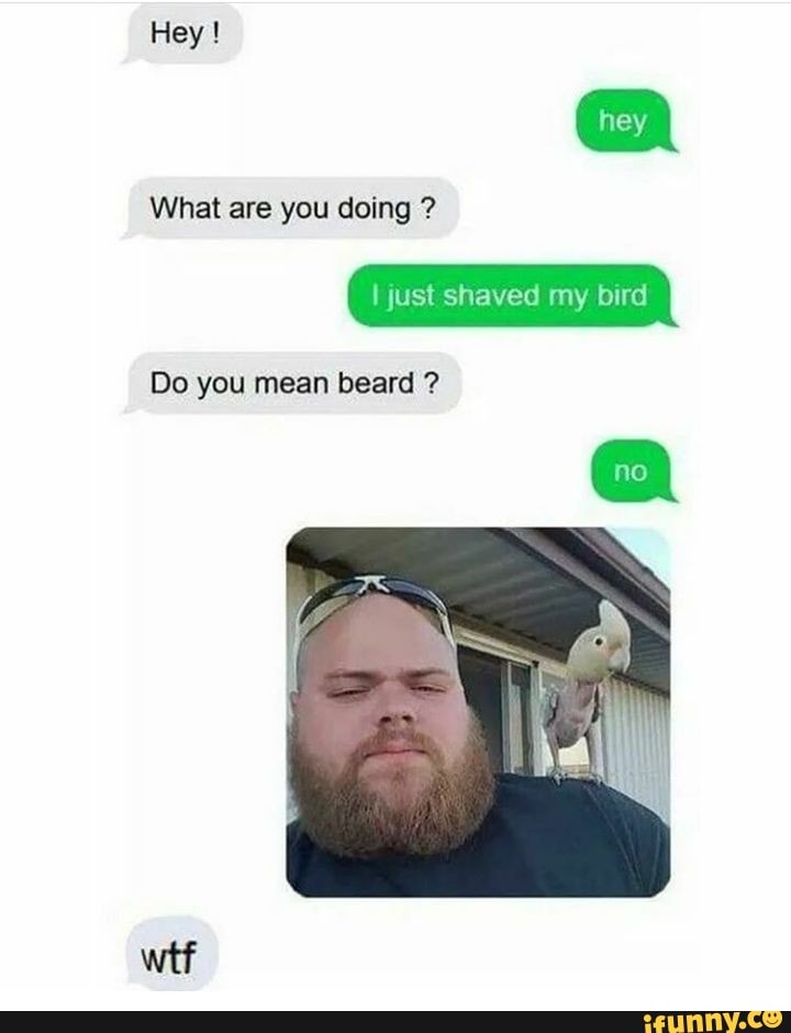 Hey hey
What are you doing ?
just shaved my bird
Do you mean beard ?