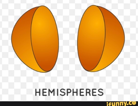 Hemispheres memes. Best Collection of funny Hemispheres pictures on iFunny