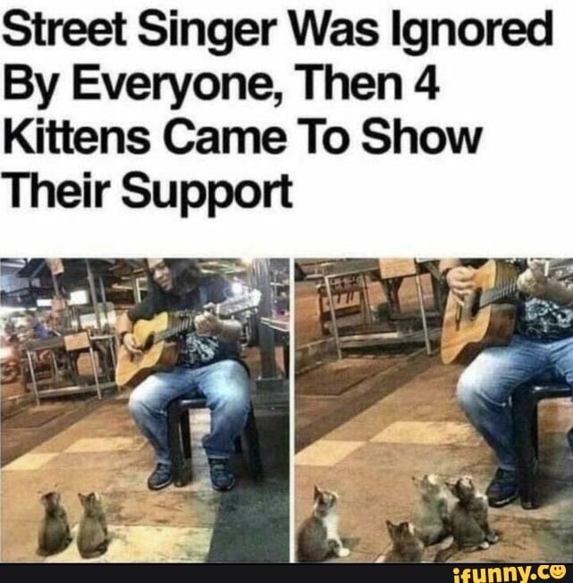 Street Singer Was Ignored
By Everyone, Then 4
Kittens Came To Show
Their Support