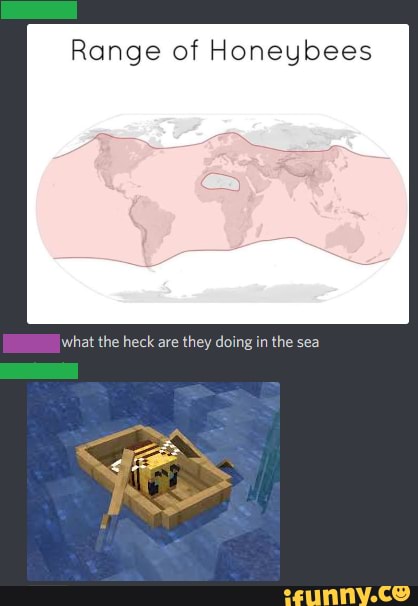 Range of Honeybees
what the heck are they doing in the sea