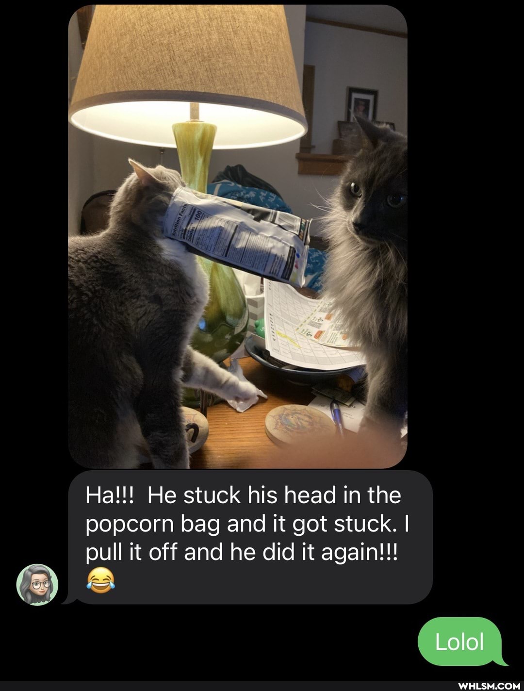 Ha!!! He stuck his head in the popcorn bag and it got stuck. I pull it off and he did it again!!!
Lolol