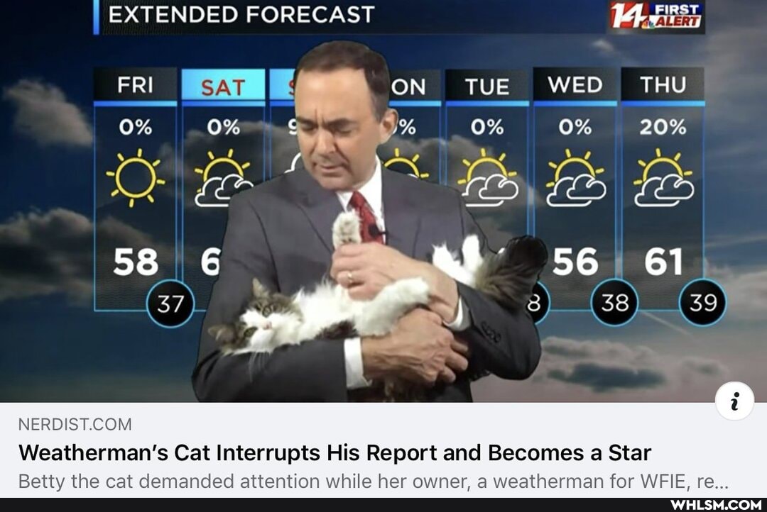 EXTENDED FORECAST
sat
FRI ON TUE WED THU
20%
58 af 56 61
Weatherman's Cat Interrupts His Report and Becomes a Star
ry
yt