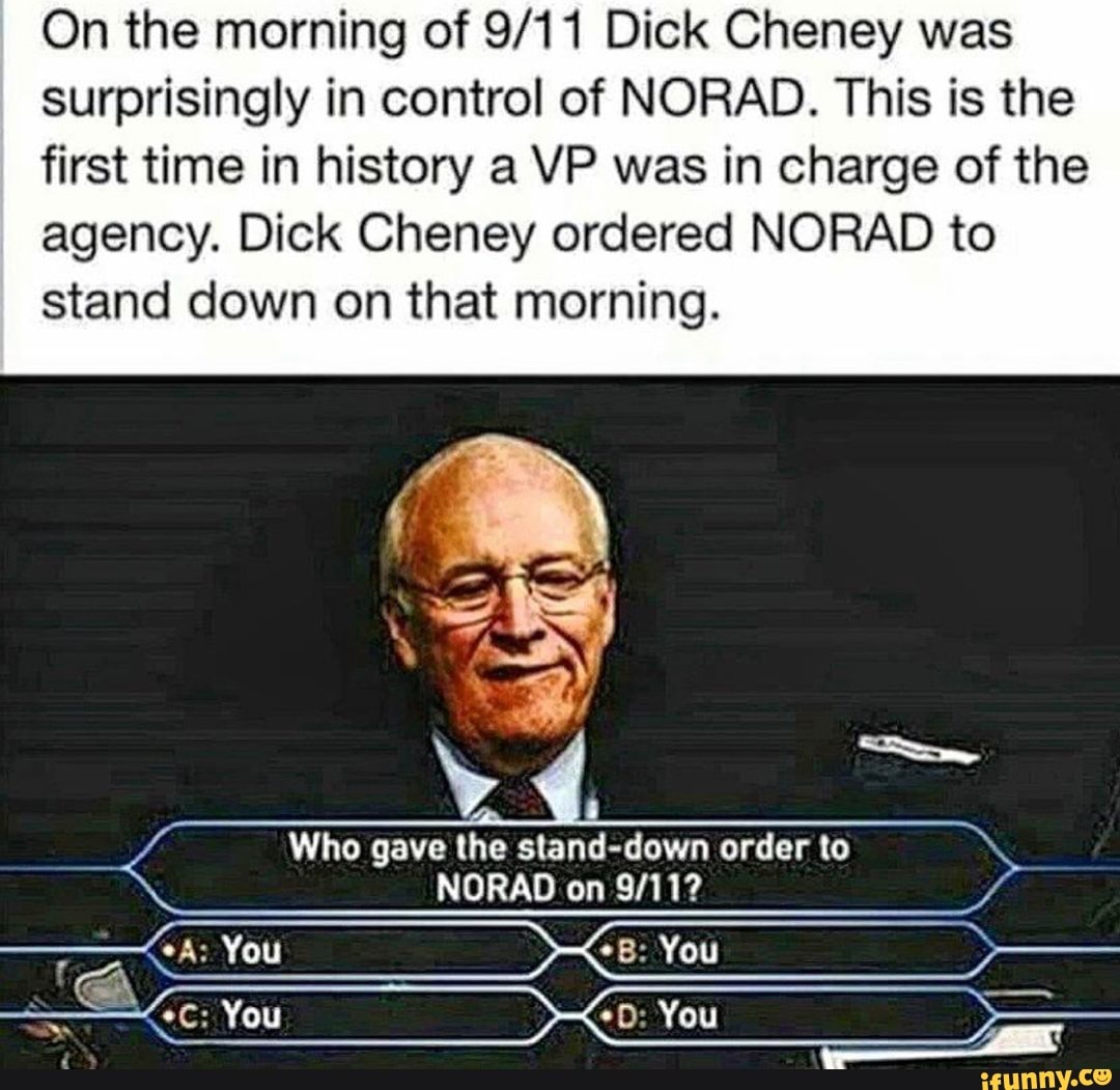 Dick cheney stance