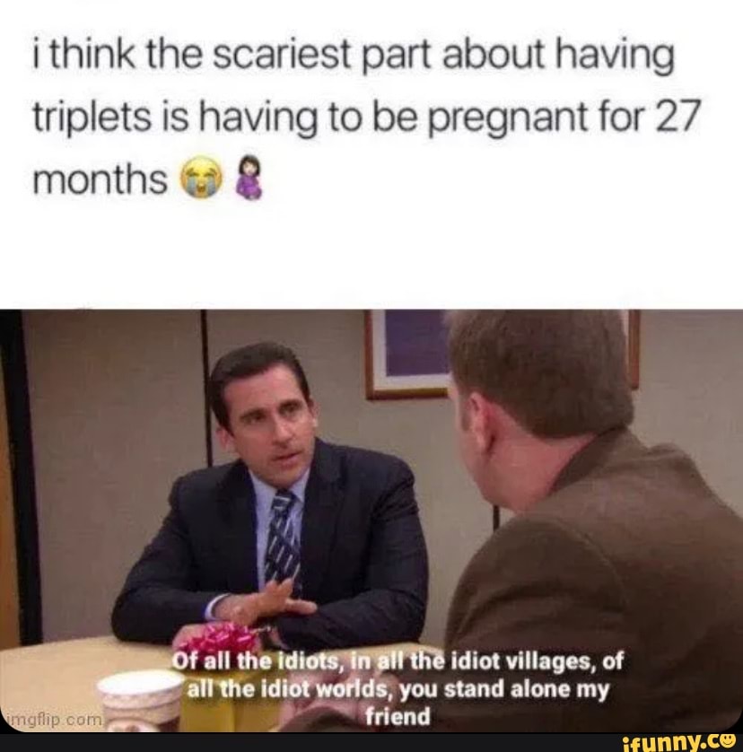 I Think The Scariest Part About Having Triplets Is Having To Be Pregnant For 27 Months Om Of All The Idiot Villages Of All The Idi6t Woflds You Stand Alone My Friend