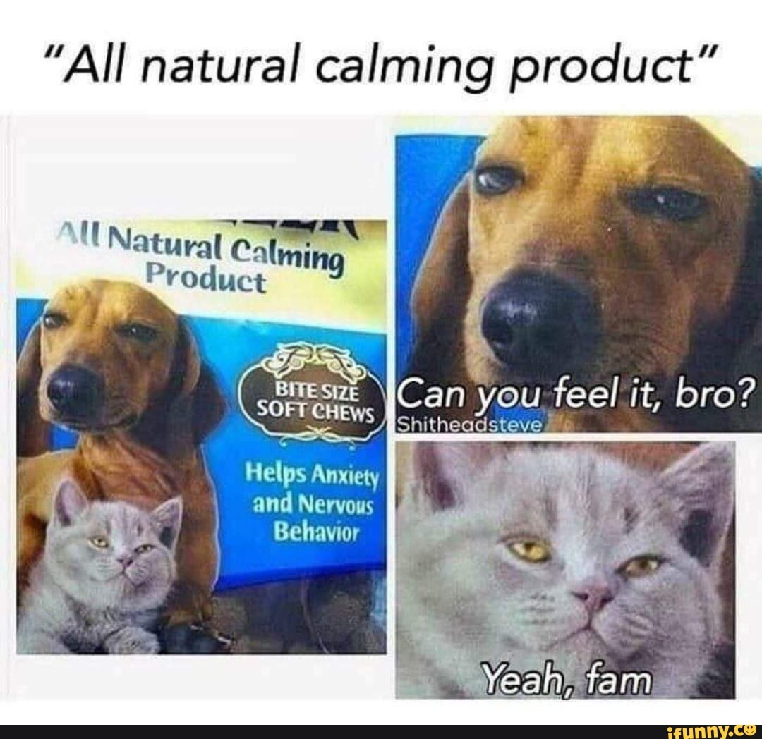 "All natural calming product"
BmeszE WCan you
feel'it, bro?
SOFT CHEWs
Pod 4
Helps
Anxiety
1
and Nervous