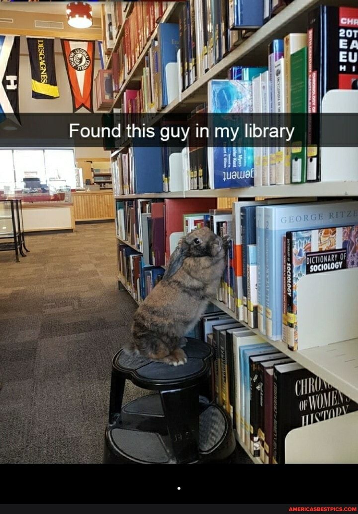 Found this guy in my library - .