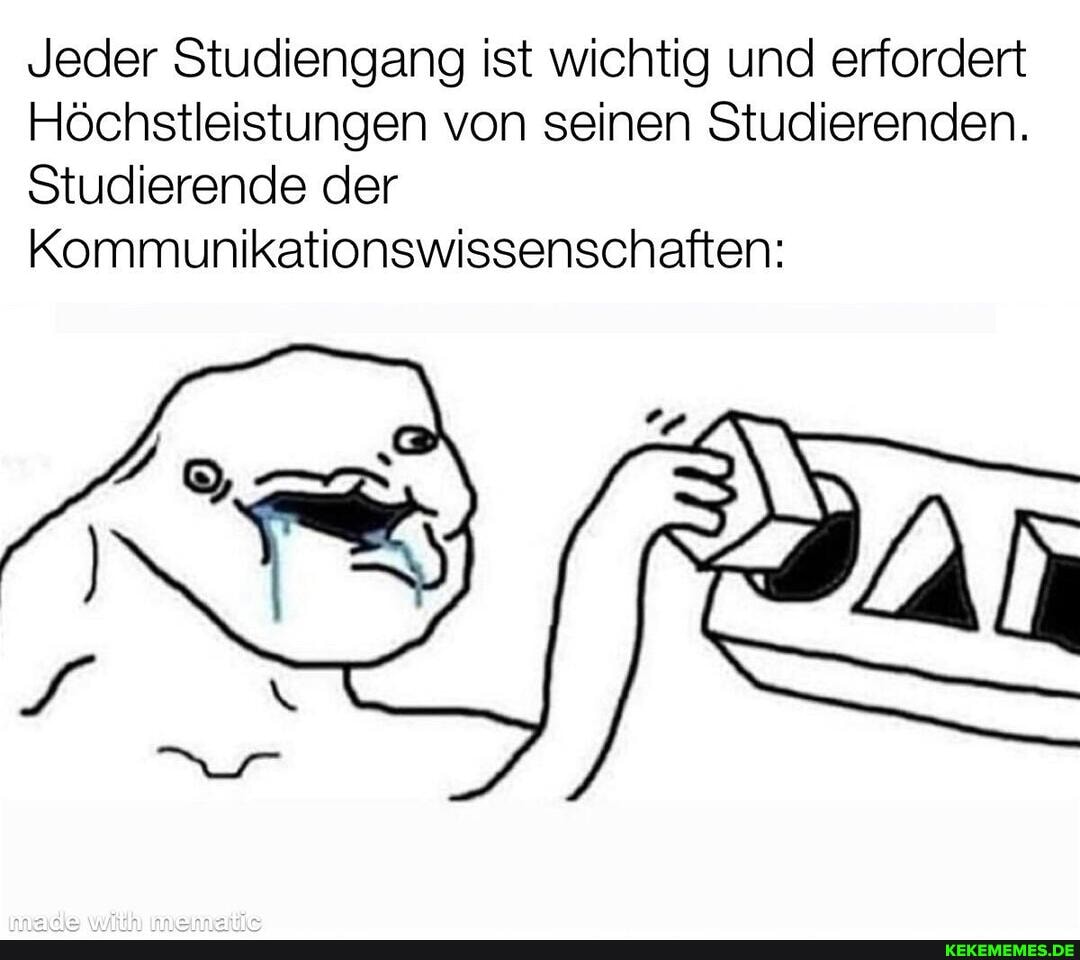 Jeder Studiengang ist wichtig und erfordert
Höchstleistungen von seinen Studierenden.
Studierende der
Kommunikationswissenschaften:
