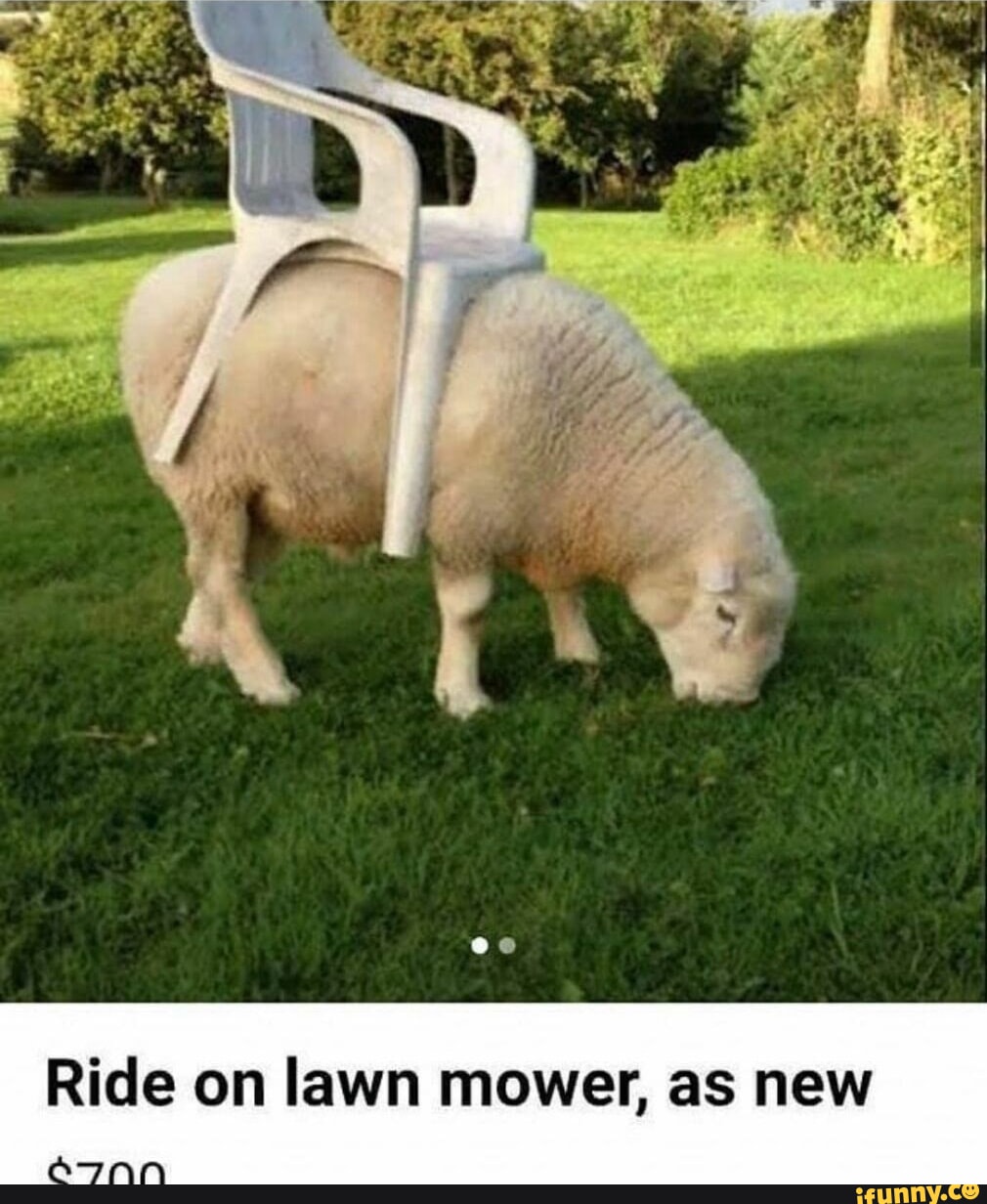 Ride on cheap lawn mower craigslist